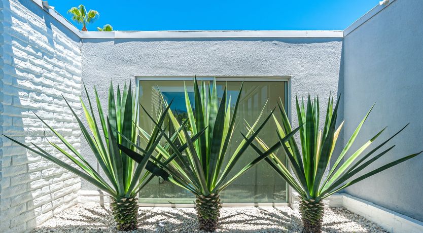 Photo of Splash Time