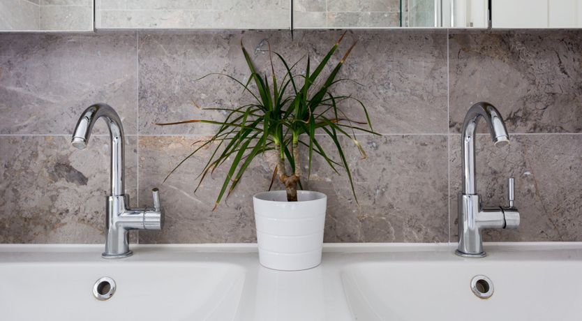 Photo of The Fernhead