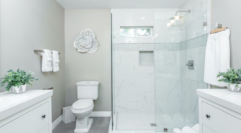 Photo of A Phoenix Breeze