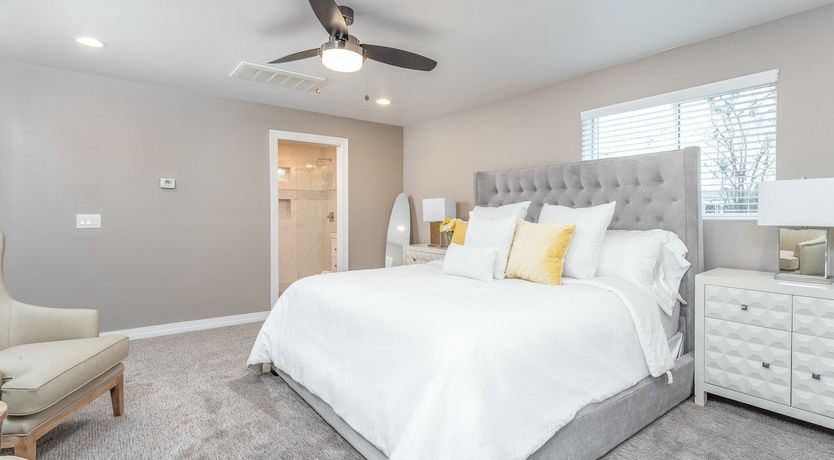 Photo of A Phoenix Breeze