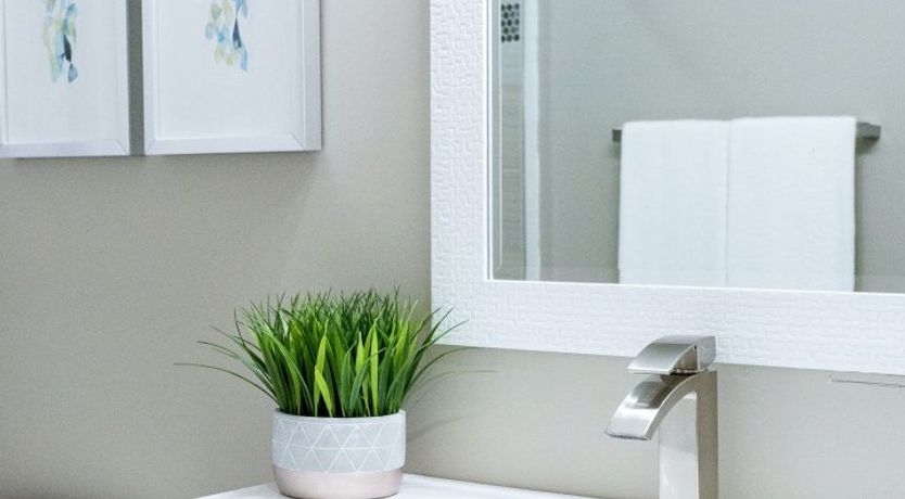 Photo of A Phoenix Breeze