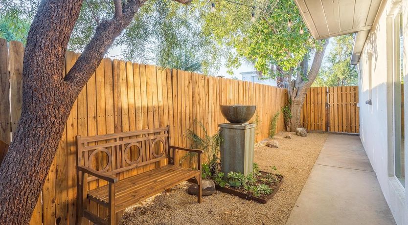 Photo of A Phoenix Breeze