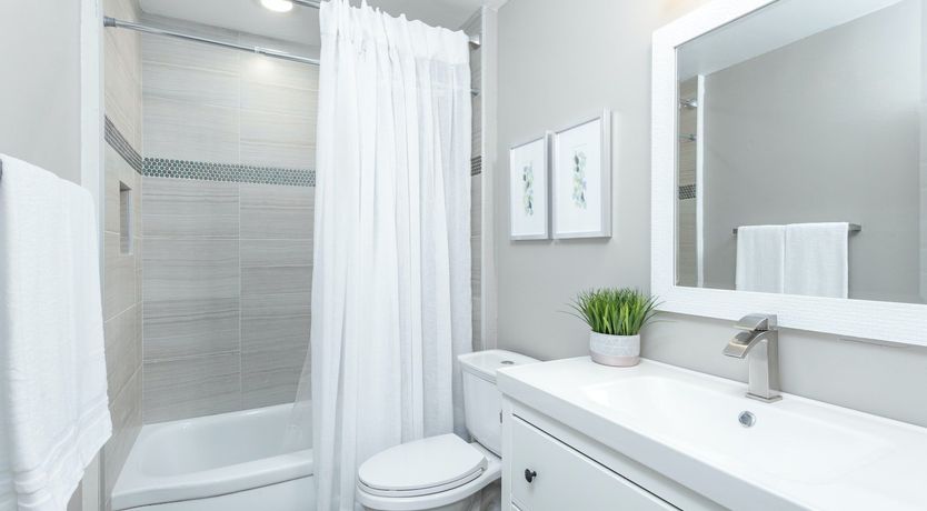 Photo of A Phoenix Breeze