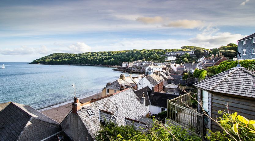 Photo of Blue Monkey