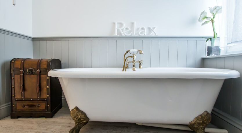 Photo of Blue Monkey