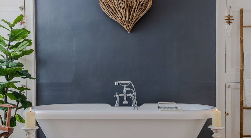 Photo of Blue Monkey