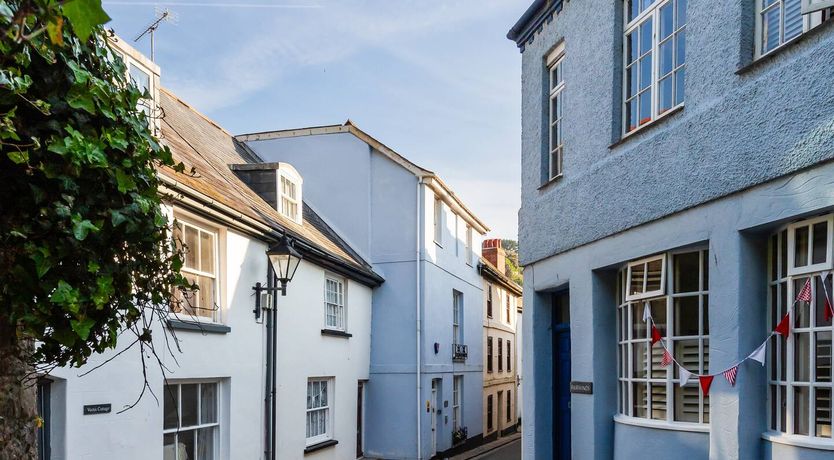 Photo of Blue Monkey