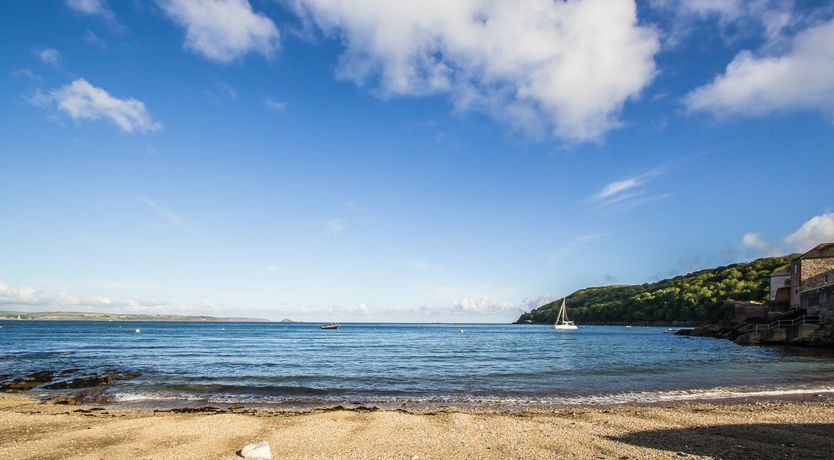 Photo of Blue Monkey