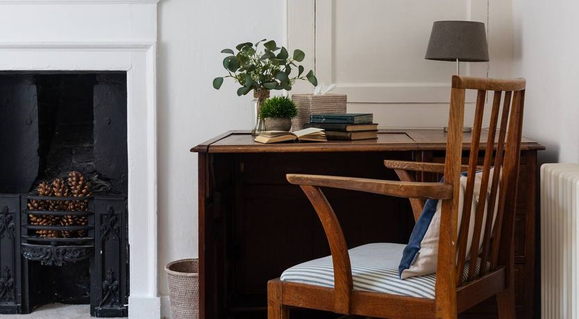 Photo of Blue Monkey