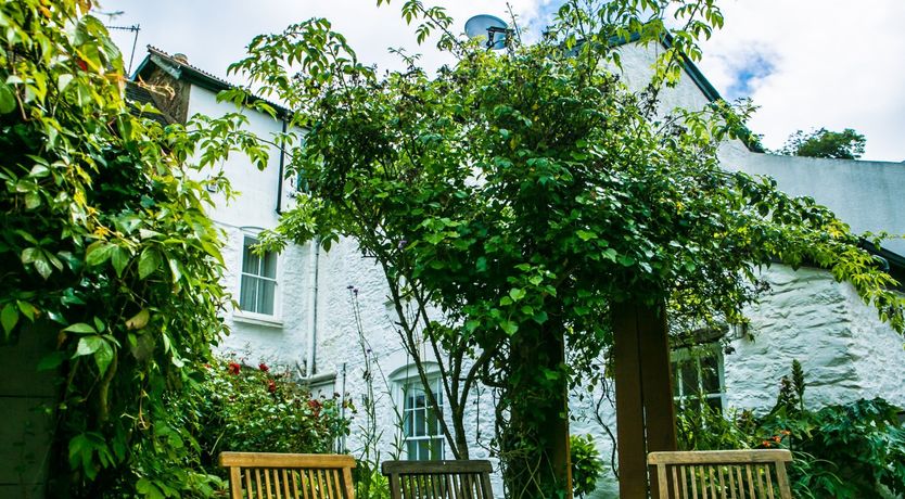 Photo of Blue Monkey