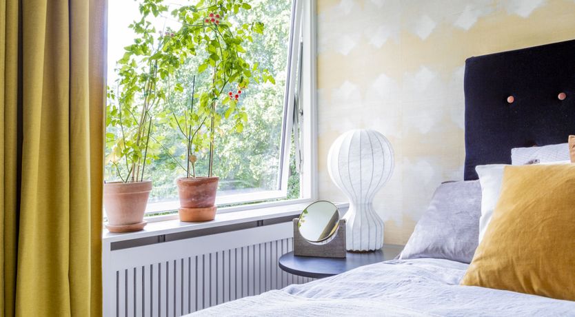 Photo of The Emerald Scallop