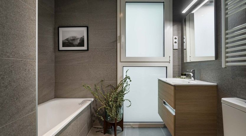 Photo of Under a Shady Tree