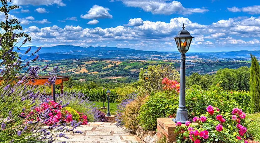 Photo of The Lavender Garden