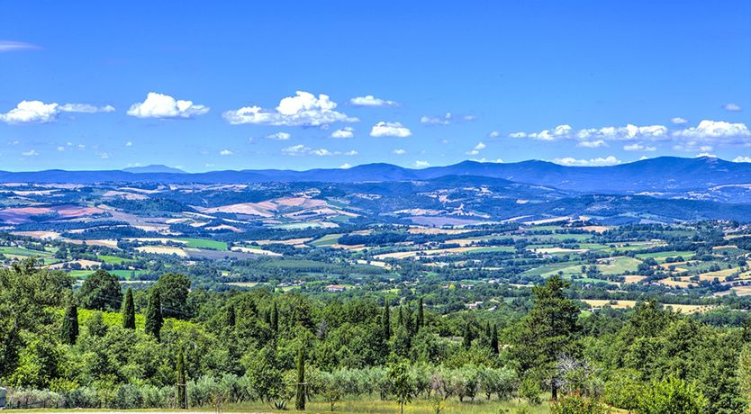 Photo of The Lavender Garden