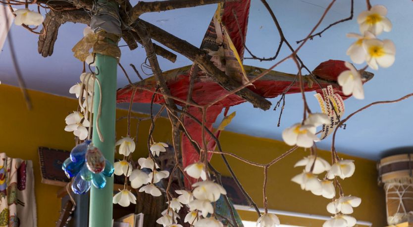 Photo of The Adaptable House