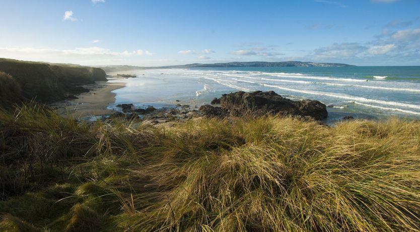 Photo of From the Source