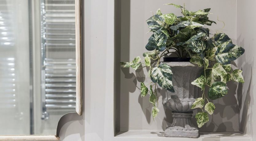 Photo of Soft Pastelli