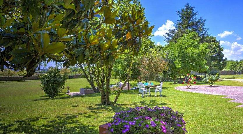 Photo of Living In Colour