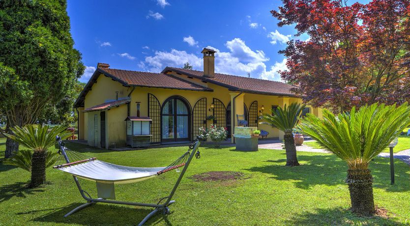 Photo of Living In Colour