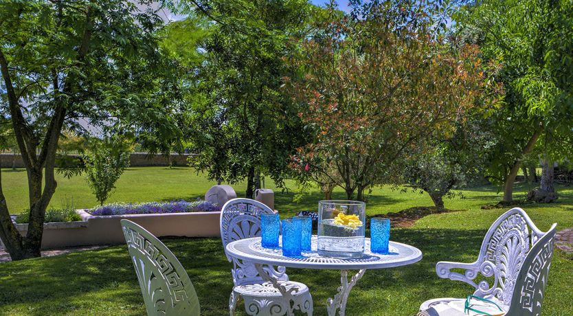 Photo of Living In Colour