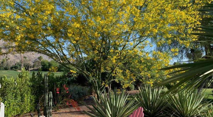 Photo of La Villa Vista