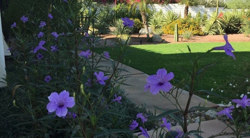 Photo of La Villa Vista