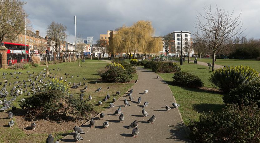 Photo of The Ealing Esquire