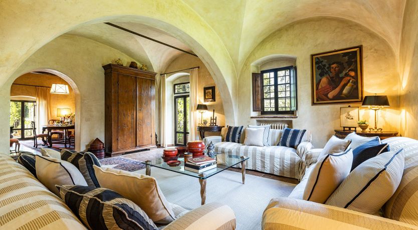 Photo of A Cypress Tree in the Lemon Grove