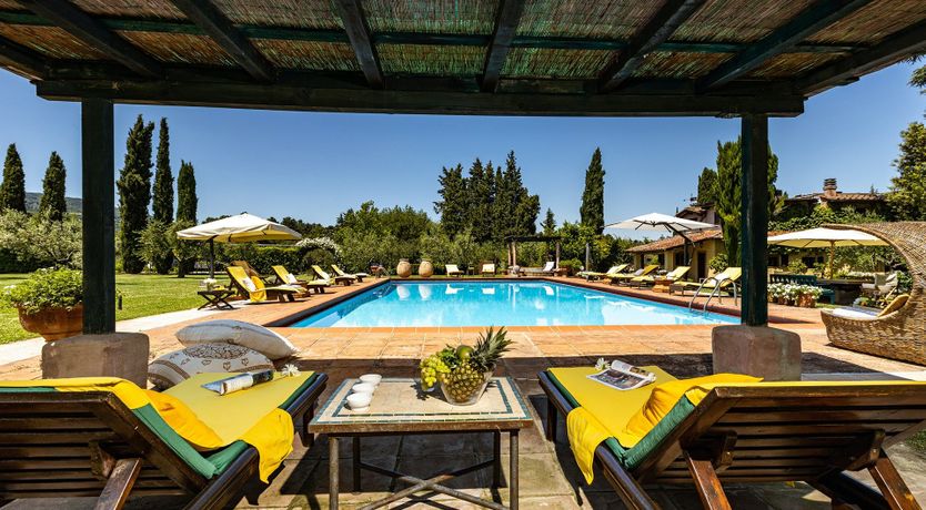 Photo of A Cypress Tree in the Lemon Grove