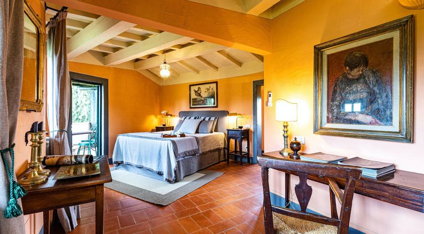 Photo of A Cypress Tree in the Lemon Grove