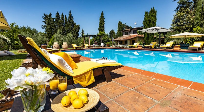 Photo of A Cypress Tree in the Lemon Grove