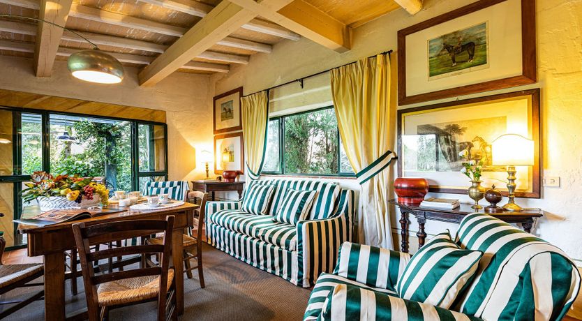 Photo of A Cypress Tree in the Lemon Grove