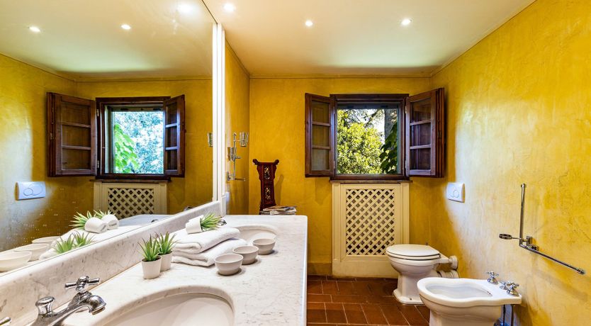 Photo of A Cypress Tree in the Lemon Grove