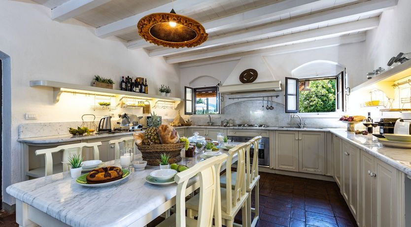 Photo of A Cypress Tree in the Lemon Grove