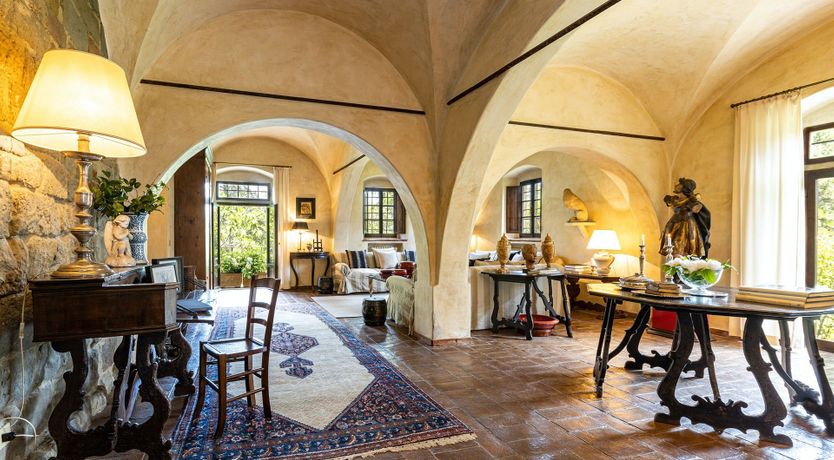 Photo of A Cypress Tree in the Lemon Grove