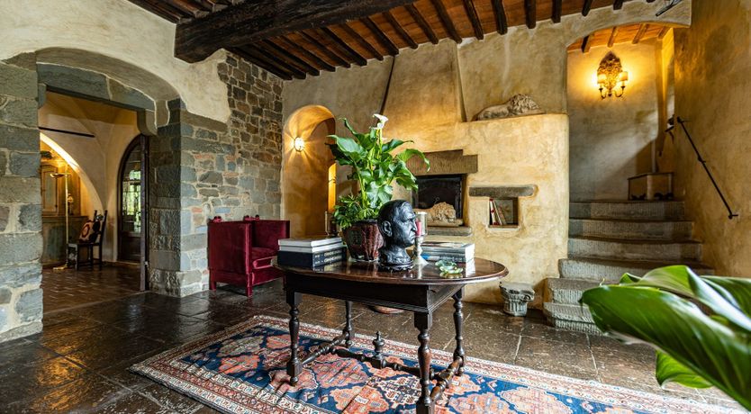 Photo of A Cypress Tree in the Lemon Grove