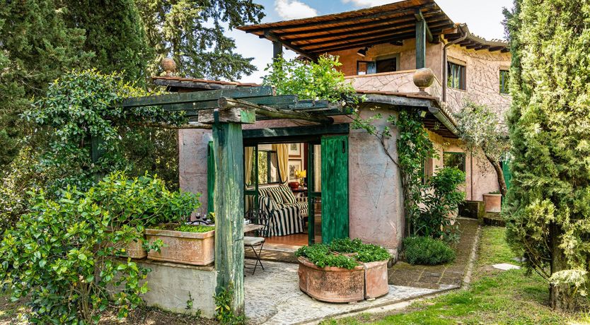 Photo of A Cypress Tree in the Lemon Grove