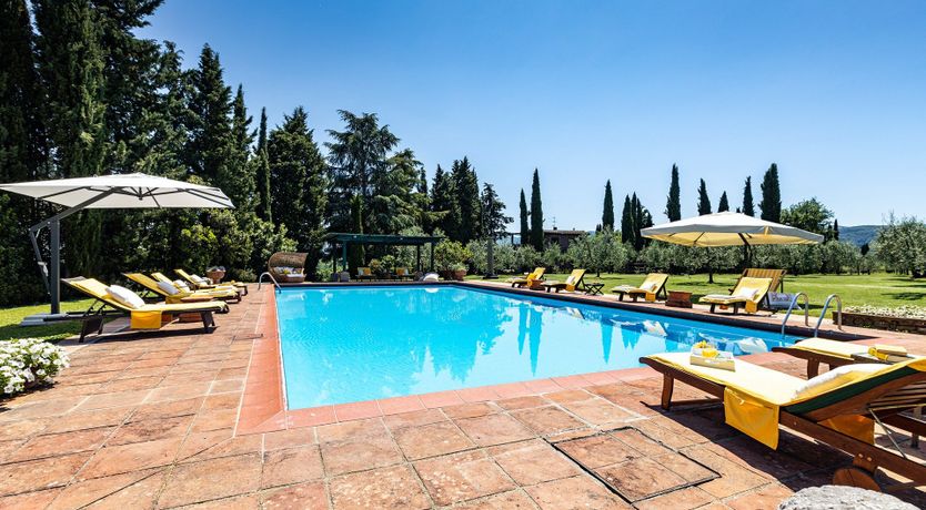 Photo of A Cypress Tree in the Lemon Grove