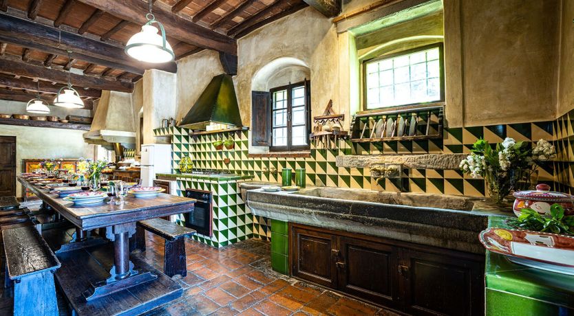 Photo of A Cypress Tree in the Lemon Grove