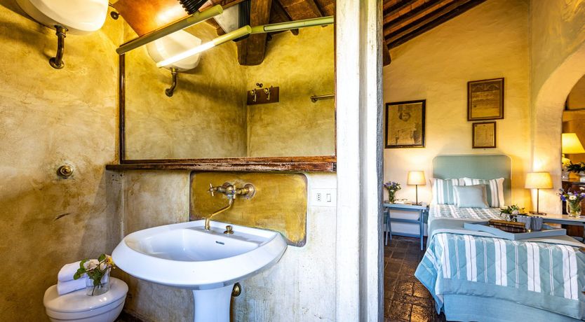 Photo of A Cypress Tree in the Lemon Grove