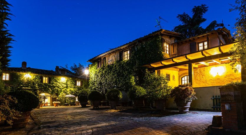 Photo of A Cypress Tree in the Lemon Grove