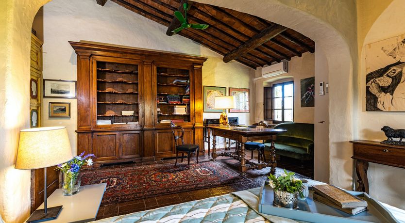 Photo of A Cypress Tree in the Lemon Grove