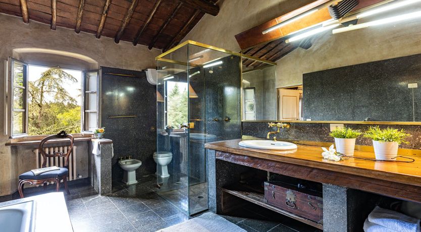 Photo of A Cypress Tree in the Lemon Grove