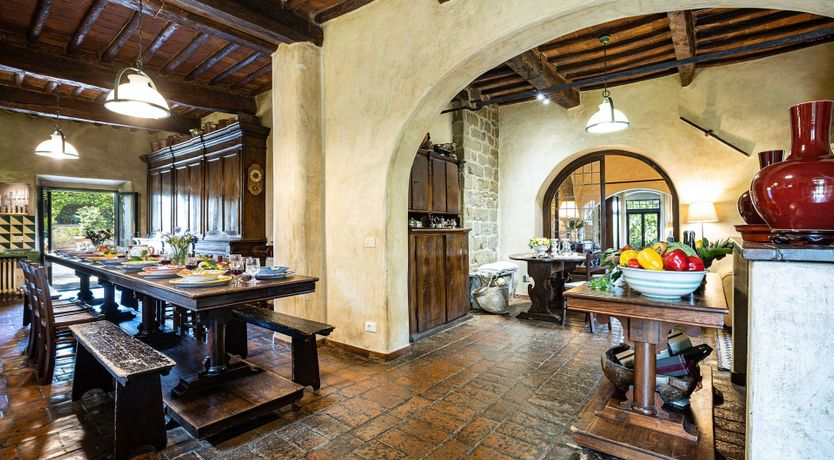 Photo of A Cypress Tree in the Lemon Grove