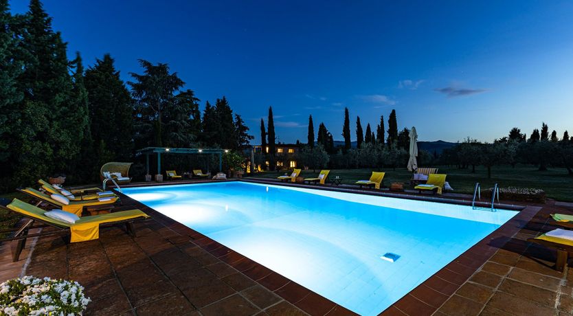 Photo of A Cypress Tree in the Lemon Grove