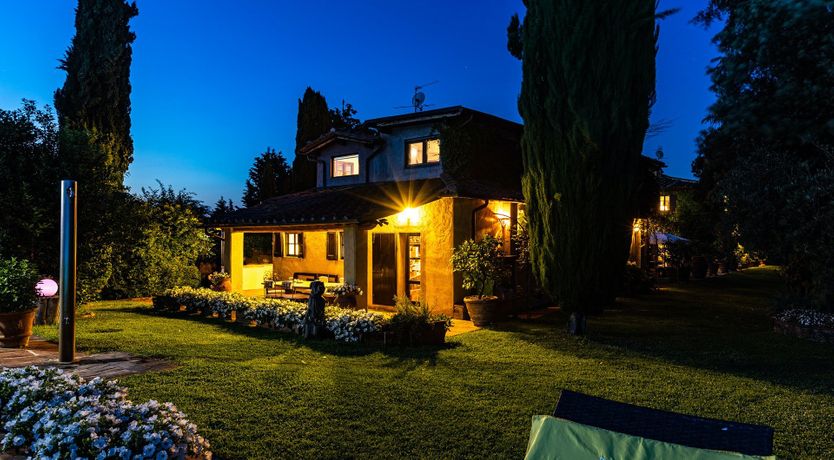 Photo of A Cypress Tree in the Lemon Grove