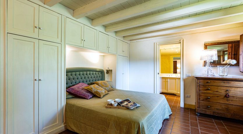 Photo of A Cypress Tree in the Lemon Grove