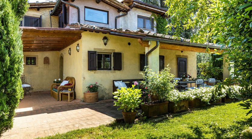 Photo of A Cypress Tree in the Lemon Grove