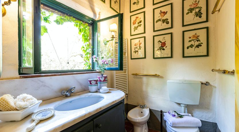 Photo of A Cypress Tree in the Lemon Grove