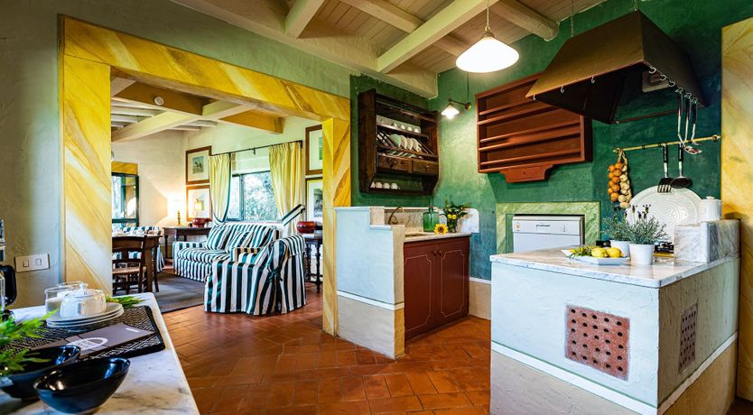 Photo of A Cypress Tree in the Lemon Grove